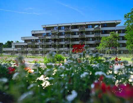 Ferienwohnungen Feldberg im Sommer