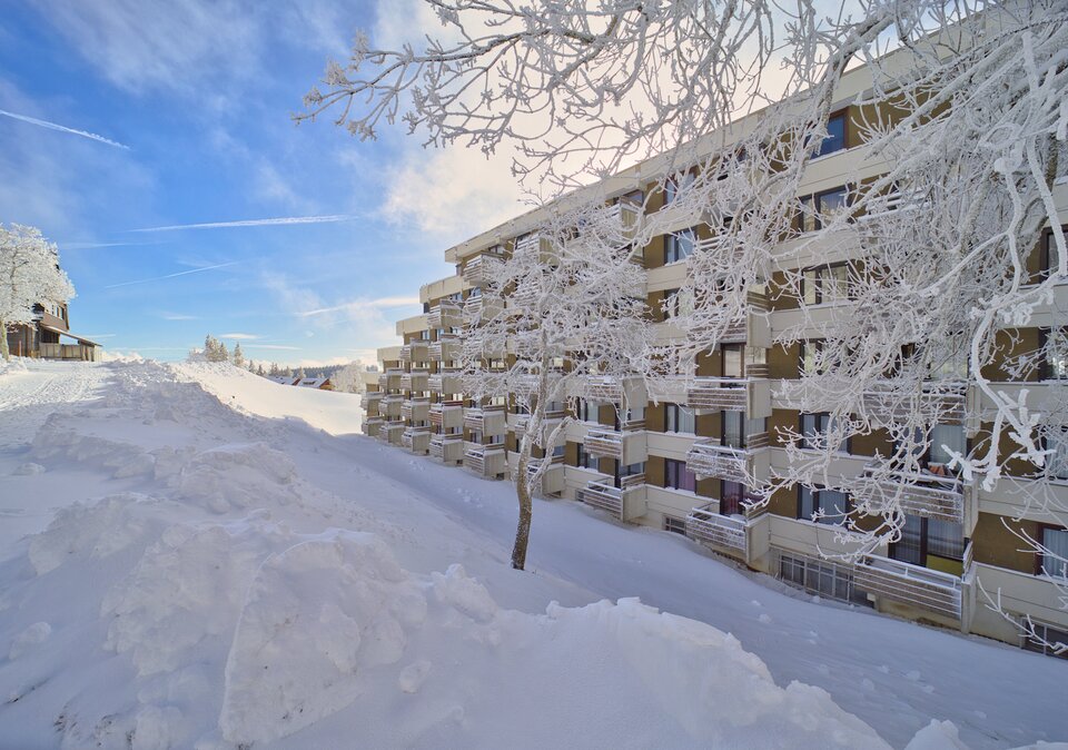 Ferienwohnungen Feldberg im Sommer Ferienwohnungen Feldberg im Sommer
