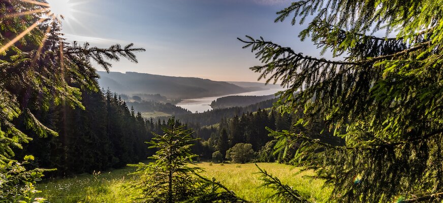 Umgebung Feldberg im Sommer mit Blick auf den See