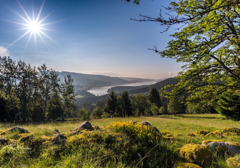 Feldberg im Sommer