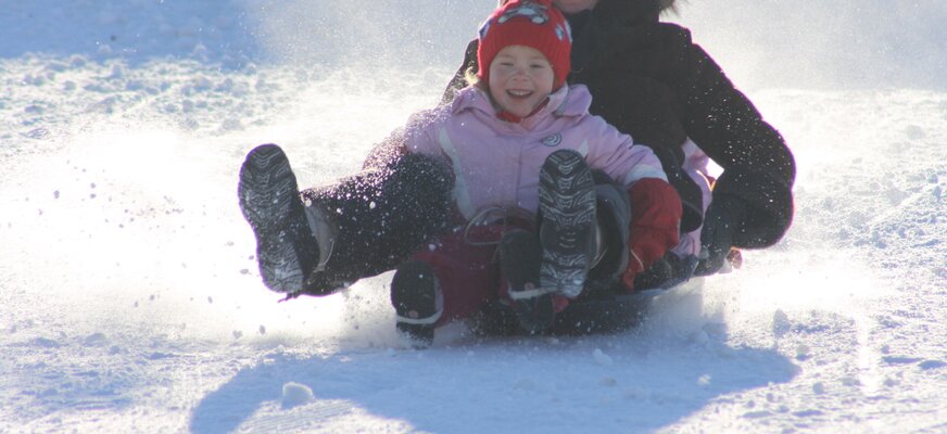 Drohnenaufnahme einer Straße im Schwarzwald zwischen Bäumen